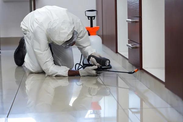 Safeguarding Your Pets and Home: A Complete Flea Control Plan for Sydney Residents